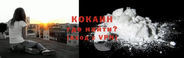 прущие грибы Бугульма