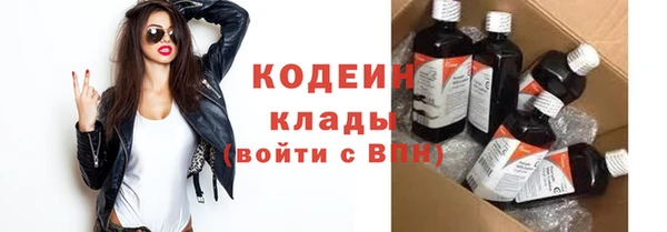 прущие грибы Бугульма