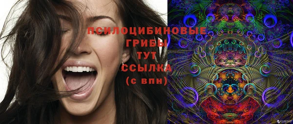 прущие грибы Бугульма