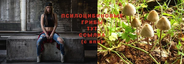 прущие грибы Бугульма