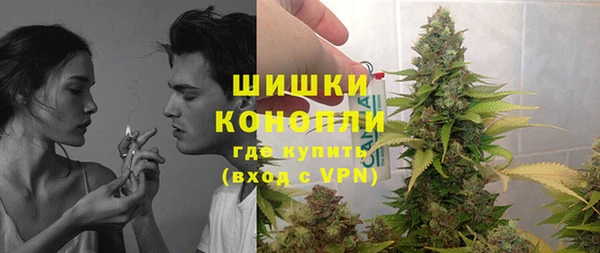 прущие грибы Бугульма